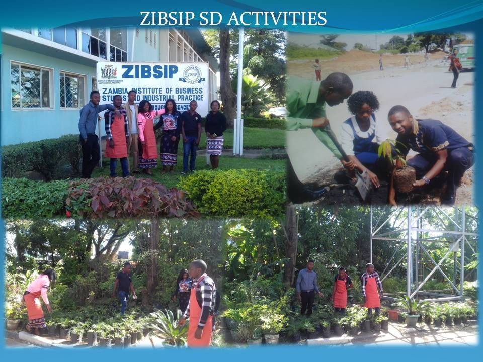 ZIBSIP Nursery Project